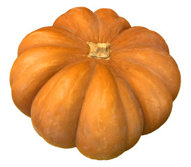 Pumpkin Clip Art