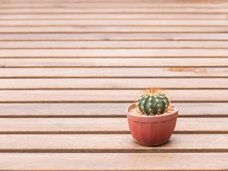 Small cactus decoration on wooden shelf in front of orange brick wall - copy space