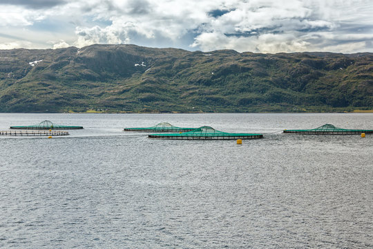 Salmon fish farm in Northern Norway