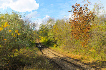 Dirty rural road in the forest on autumn