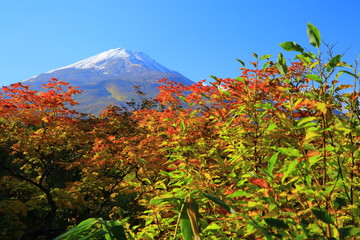 秋田県　紅葉の善神沼