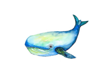 Bluewhale Watercolor painting  on white background
