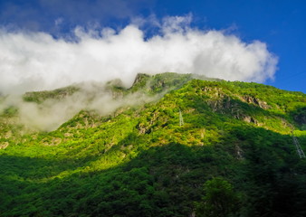 Beautiful landscape in the mountains in summer
