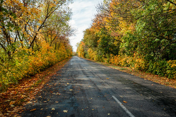 Fototapeta na wymiar autumn road in the day