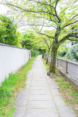 Fototapeta na wymiar Matsukawa river promenade