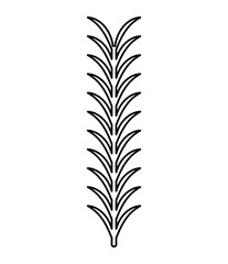 leafs plant decoration isolated icon vector illustration design