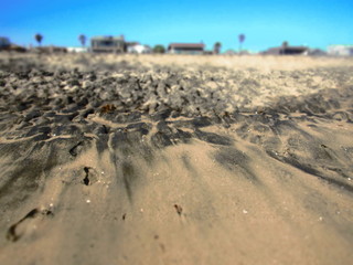 Getting a little Shwandy