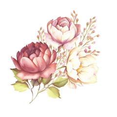 The image of a rose. Hand draw watercolor illustration
