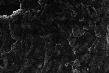 Black and white stone wall background.