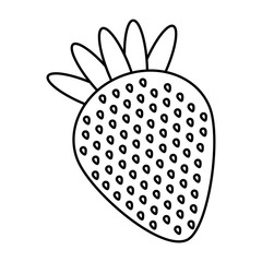 fresh strawberry fruit delicious vector illustration design