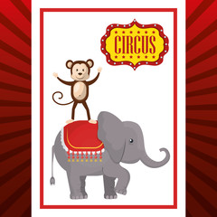 Fototapeta premium happy monkey inside elephant circus festival show icon over red and white background. colorful design. vector illustration