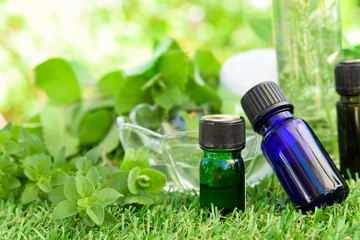 essential oils and natural cosmetics with green herbs