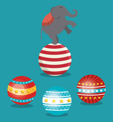balls and circus elephant festival show over blue background. colorful design. vector illustration