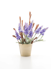 statice and caspia flower in vase