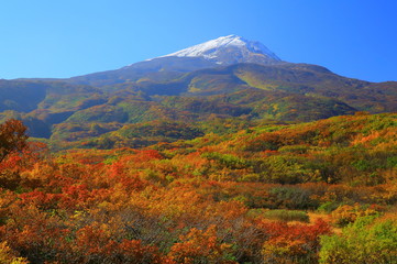 秋田県　紅葉の竜ヶ原湿原