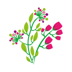 flower plant decoration isolated icon vector illustration design