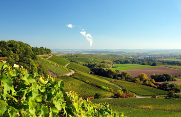 Stromberg Weinanbaugebiet Württemberg