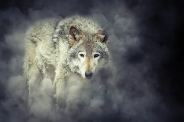 Papier Peint photo autocollant Loup Loup en fumée