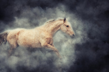 Fototapeta na wymiar Horse in smoke