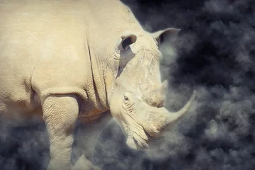 Papier peint photo autocollant rond Rhinocéros Rhino en fumée
