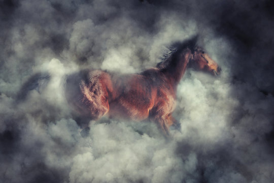 Horse in smoke