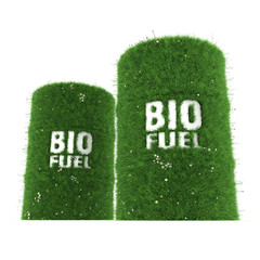 3D rendering barrels of biofuels