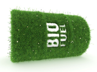 3D rendering barrel of biofuels