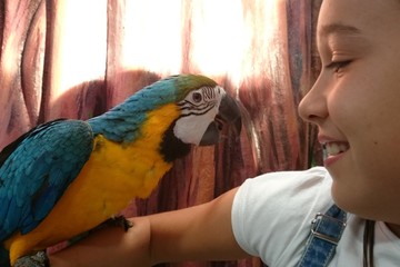 Niña con guacamayo