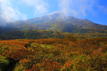 秋田県　紅葉の竜ヶ原湿原