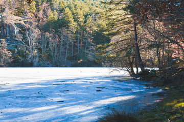 Lago congelado / Árbol sobre lago congelado