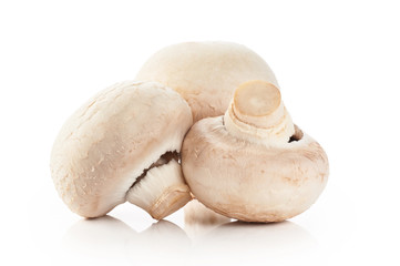 Champignon mushrooms isolated on white background.