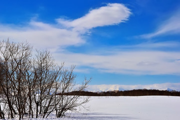 Fototapeta na wymiar Beautiful winter landscape. W