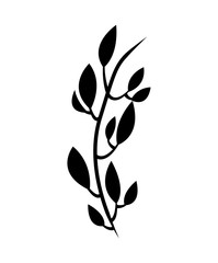 leafs plant decoration isolated icon vector illustration design