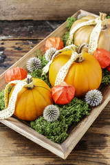 How to make home decoration with pumpkins, moss and physalis tut