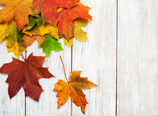 Naklejka na ściany i meble Colorful autumn leaves