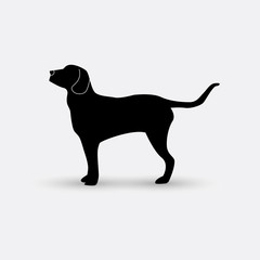 Vector silhouette of a dog on white background.