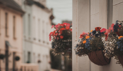Fototapeta na wymiar baskets with flowers outside a row of terrace houses in Minehead, Somerset, England