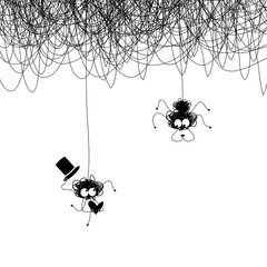 a pair of lovers of spiders on the web.