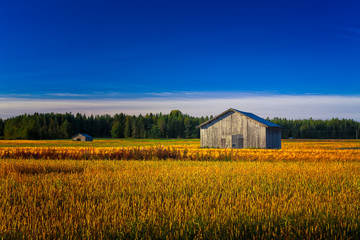 Two Old Barns On An Autumn Field