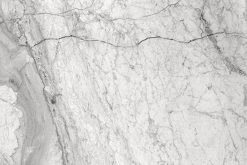 Obraz premium white marble texture background.