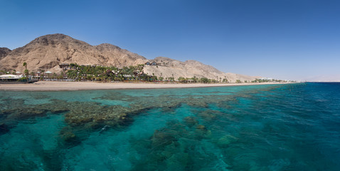 Fototapeta na wymiar Coral Riffs in Eilat