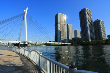 Fototapeta na wymiar 隅田川に架かる中央大橋と高層マンション群