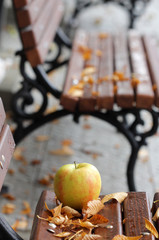 ripe apple and autumn leaves on a wood bench