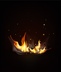 Vector burning fire on a dark (night) background.