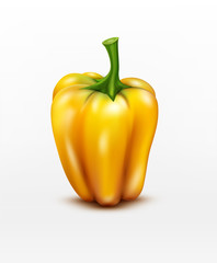 Isolate. vector yellow pepper isolated on white background