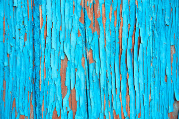 Blue painted wood planks with cracked paint as background or texture. Close-up