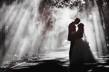newlyweds embracing in a beautiful park forest among rays of the setting sun through the fog.