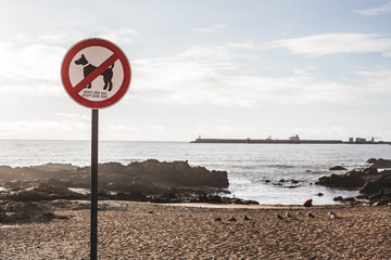 prohibition sign,except guide dog on portuguese beach