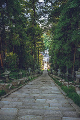 陸奥一の宮　鹽竈神社の夕景