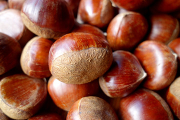 chestnuts